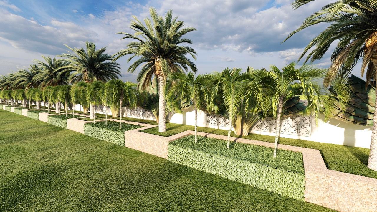Palm avenue and designer hedges at The Grand Mansion